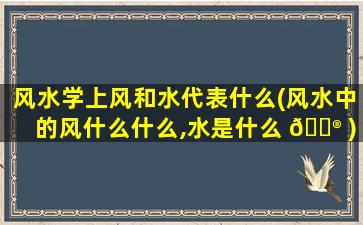 风水学上风和水代表什么(风水中的风什么什么,水是什么 💮 )